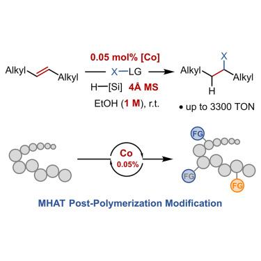 Modifying commodity-relevant unsaturated polymers via Co-catalyzed MHAT