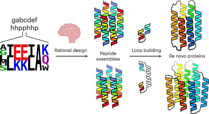 Rationally seeded computational protein design of ɑ-helical barrels