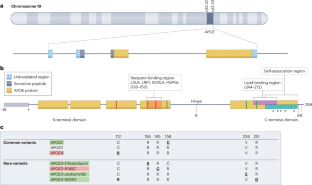 Multifaceted roles of APOE in Alzheimer disease