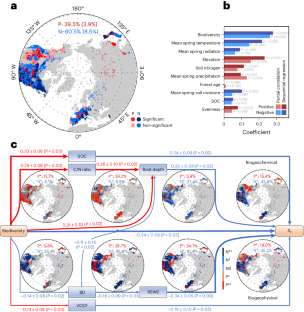 Biodiversity reduces the advancement of leaf green-up with climate warming