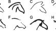 New Methods for Old Questions: The Use of Elliptic Fourier Analysis for the Formal Study of Palaeolithic Art