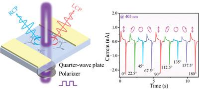 Pyro-Phototronic Circularly Polarized Light Detection Based on Deuterated L-Alanine Doped Triglycine Sulfate's Bulk Photovoltaic Effect