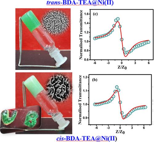 Comparative Vision of Nonlinear Thermo-Optical Features and Third-Order Susceptibility of Mechanically Flexible Metallosupramolecular Self-Repairing Networks with Isomeric Organic Acids