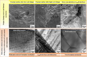 High-cycle and low-cycle fatigue characteristics of multilayered dissimilar titanium alloys