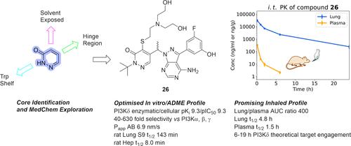 Discovery and Optimization of Pyridazinones as PI3Kδ Selective Inhibitors for Administration by Inhalation