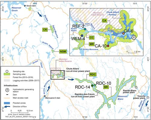 A genome catalogue of mercury-methylating bacteria and archaea from sediments of a boreal river facing human disturbances