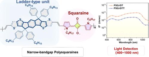 Ladder-Type π-Conjugated Polysquaraines for Near-Infrared Organic Photodetectors