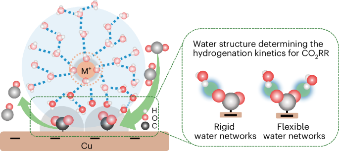 Probing electrolyte effects on cation-enhanced CO2 reduction on copper in acidic media