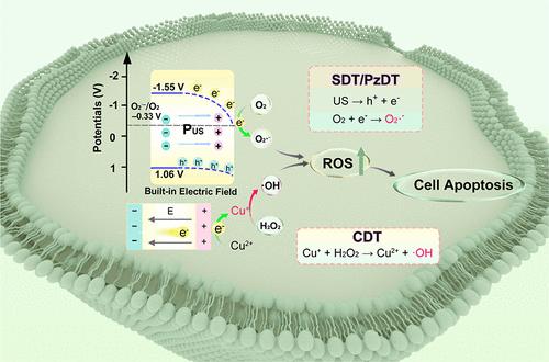 Oxygen Vacancy Piezoelectric Nanosheets Constructed by a Photoetching Strategy for Ultrasound “Unlocked” Tumor Synergistic Therapy