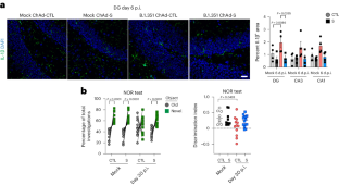 Vaccination prevents cognitive impairment after breakthrough infection with SARS-CoV-2