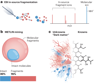 The hidden impact of in-source fragmentation in metabolic and chemical mass spectrometry data interpretation