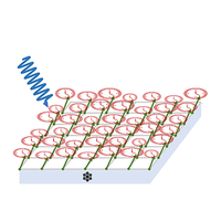 Universal Phenomenology at Critical Exceptional Points of Nonequilibrium O(N) Models