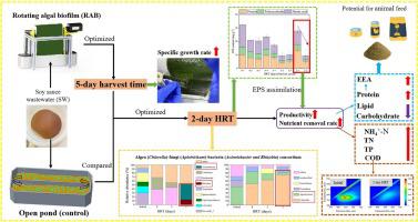 Efficacy and mechanisms of rotating algal biofilm system in remediation of soy sauce wastewater