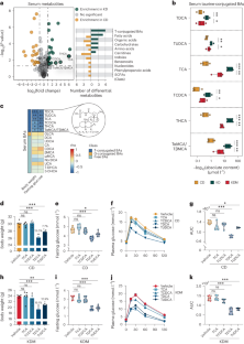 Ketogenic diet-induced bile acids protect against obesity through reduced calorie absorption