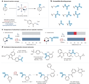 A radical strategy towards ortho-amination reactions