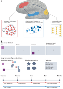 Timescales of learning in prefrontal cortex