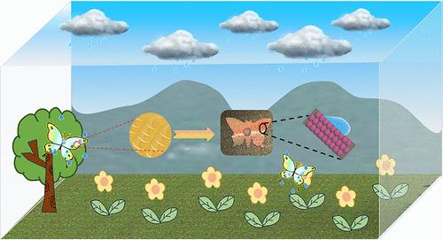 Robust and Durable Photonic Crystal with Liquid-Repellent Property for Self-Cleaning Coatings and Structural Colored Textiles