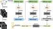 GraphMriNet: a few-shot brain tumor MRI image classification model based on Prewitt operator and graph isomorphic network