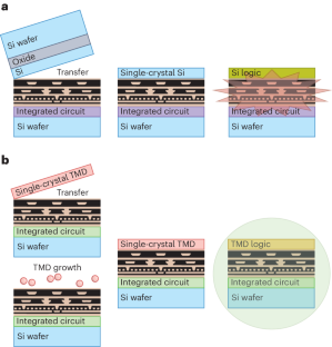 2D materials can unlock single-crystal-based monolithic 3D integration