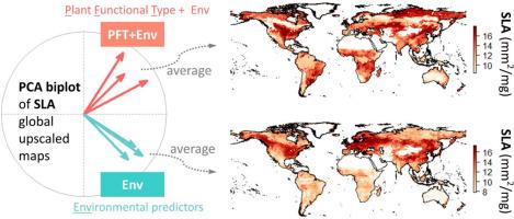 Intercomparison of global foliar trait maps reveals fundamental differences and limitations of upscaling approaches