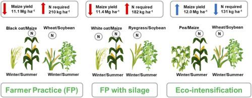 Eight years of eco-intensification of maize-soybean rotation in south Brazil: Maize grain production and nitrogen fertilizer replacement value