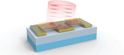 High Performance Balanced Linear Polarization Photodetector Based on 2D ReS2