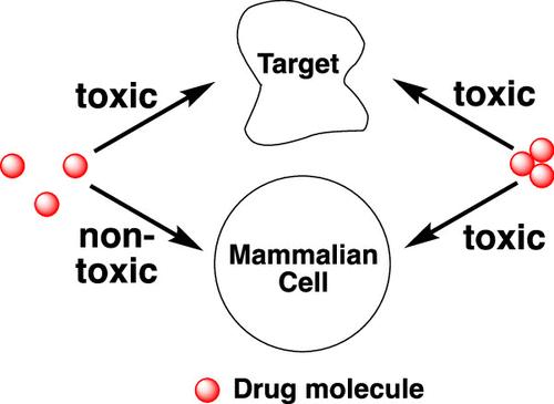 Drug Discovery and Design: A Plethora of Missed Opportunities?