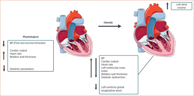 Maternal Cardiac Function in Pregnancies with Metabolic Disorders.