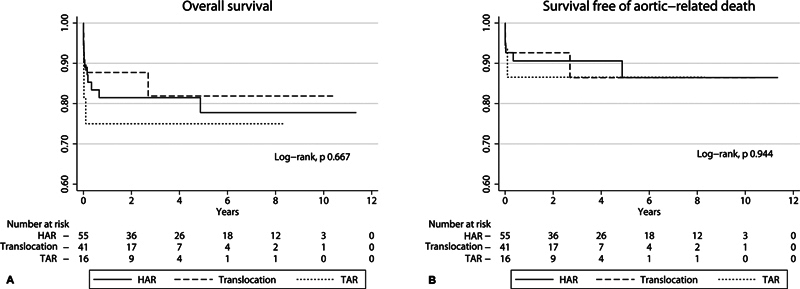Innominate Artery Translocation with Hemiarch Replacement Strategy for Acute Type A Aortic Dissection: a Single-Center Study.