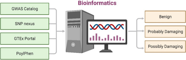 Investigation of missense mutation-related type 1 diabetes mellitus through integrating genomic databases and bioinformatic approach.