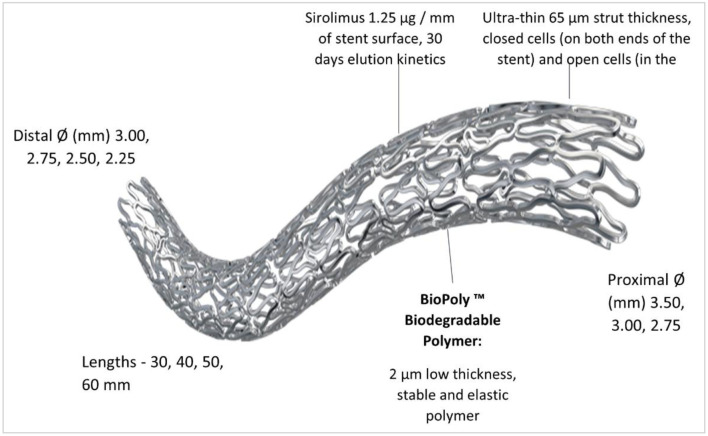 Long-Term Safety and Performance of BioMime™ Morph Sirolimus-Eluting Coronary Stent System for Very Long Coronary Lesions.