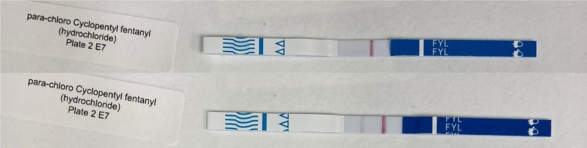 An urgent need for community lot testing of lateral flow fentanyl test strips marketed for harm reduction in Northern America.