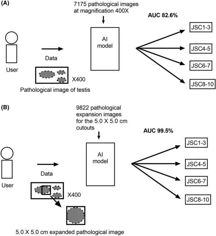 Potential for artificial intelligence in medicine and its application to male infertility.