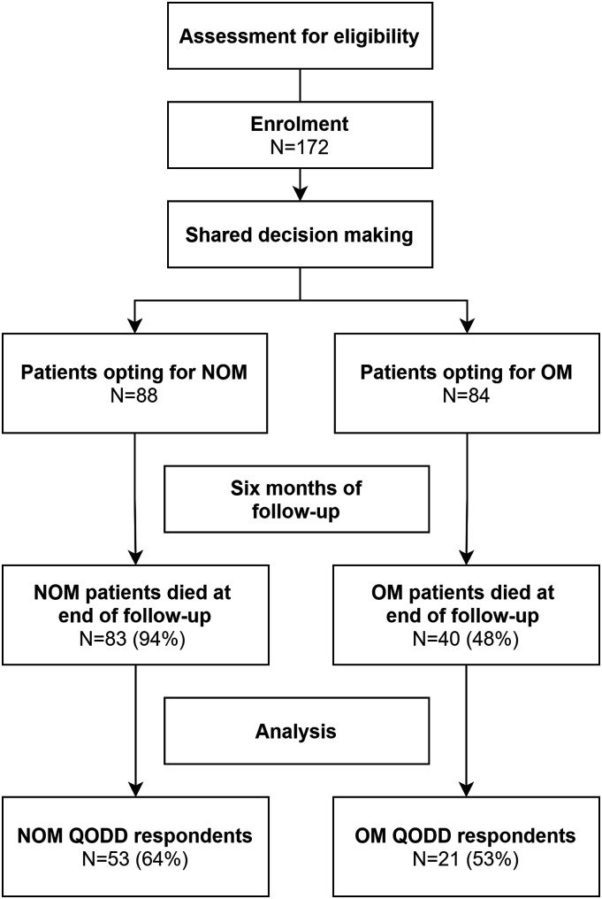 The Quality of Dying in Frail Institutionalized Older Patients After Nonoperative and Operative Management of a Proximal Femoral Fracture: An In-Depth Analysis.