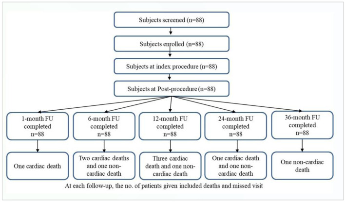 Long-Term Safety and Performance of BioMime™ Morph Sirolimus-Eluting Coronary Stent System for Very Long Coronary Lesions.