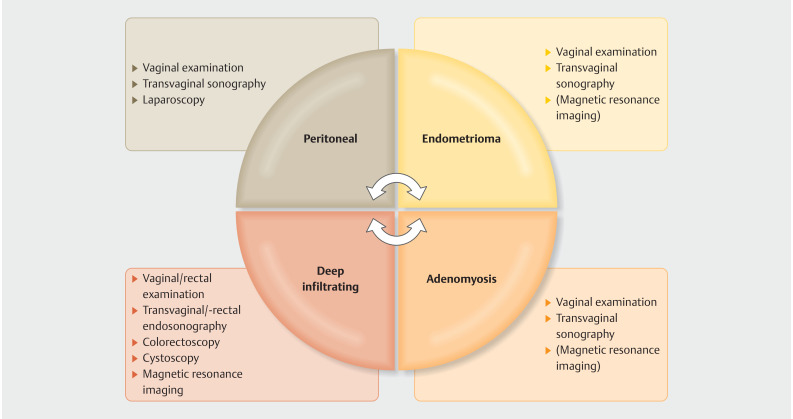 The Hallmarks of Endometriosis.