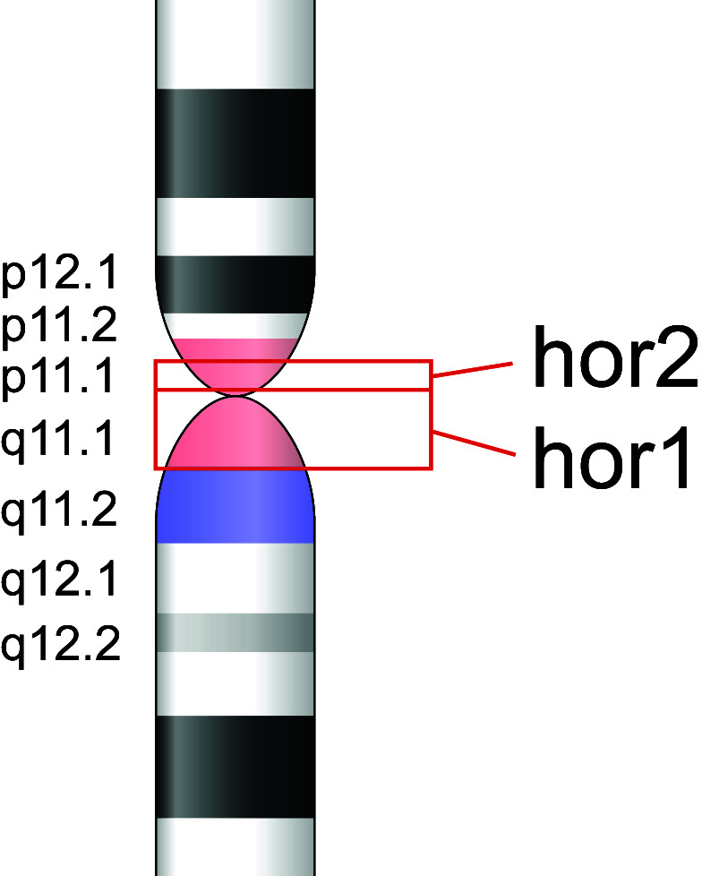 Precise identification of cascading alpha satellite higher order repeats in T2T-CHM13 assembly of human chromosome 3.