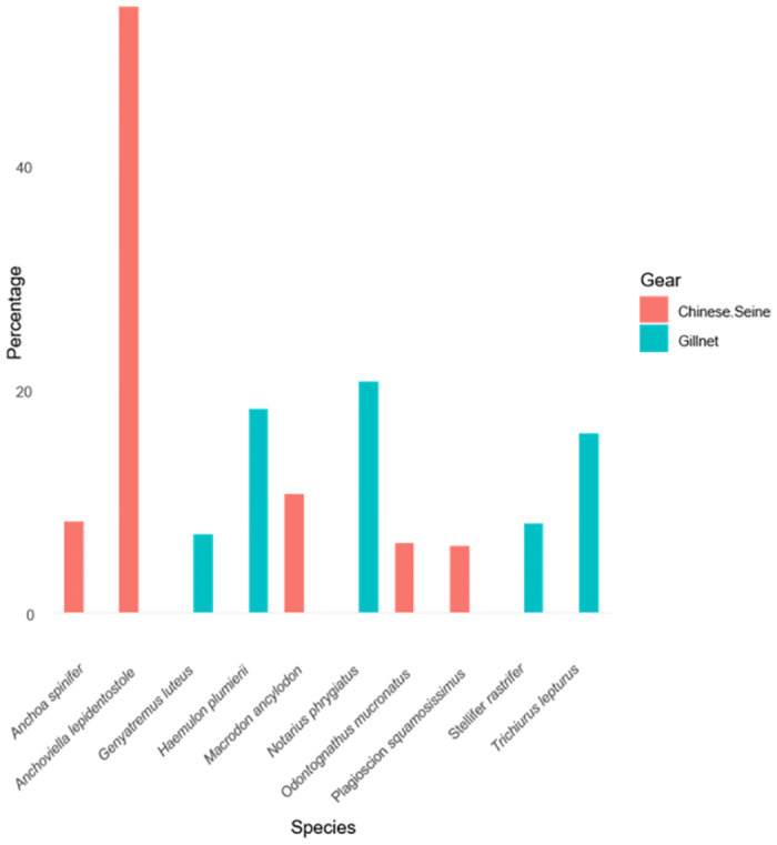Characterization of small-scale net fisheries off the coast of Guyana.