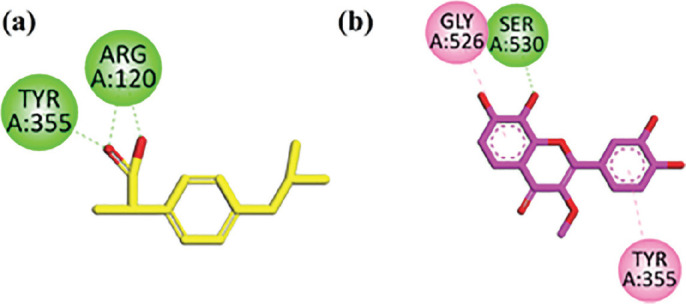 In vivo analgesic, anti-inflammatory, sedative, muscle relaxant activities, and docking studies of 3',4',7,8-tetrahydroxy-3-methoxyflavone isolated from <i>Pistacia chinensis</i>.