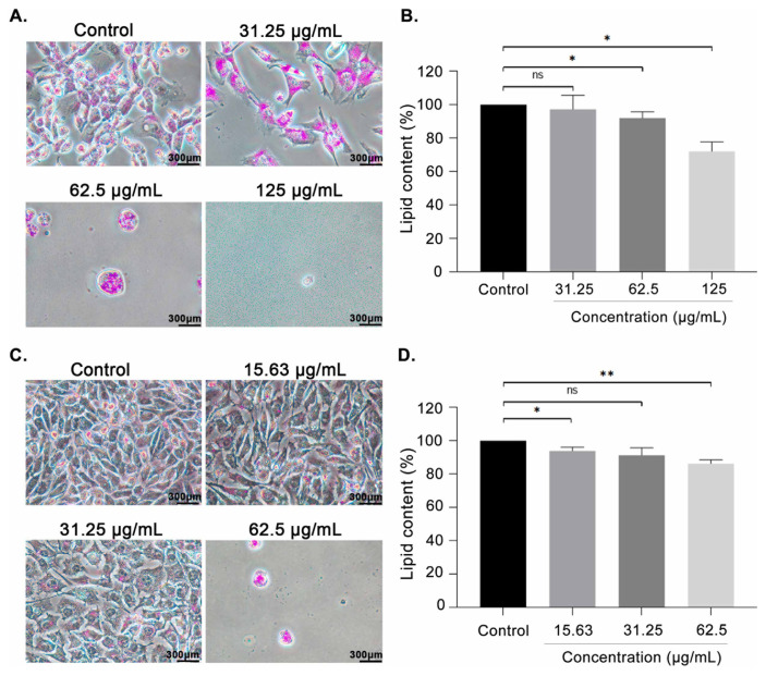 <i>In vitro</i> and <i>in silico</i> evaluation of <i>Andrographis paniculata</i> ethanolic crude extracts on fatty acid synthase expression on breast cancer cells.