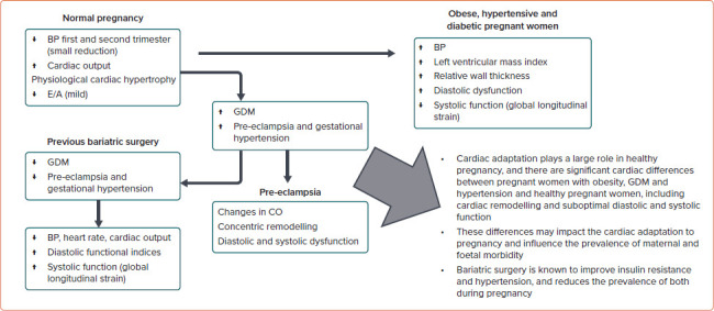 Maternal Cardiac Function in Pregnancies with Metabolic Disorders.