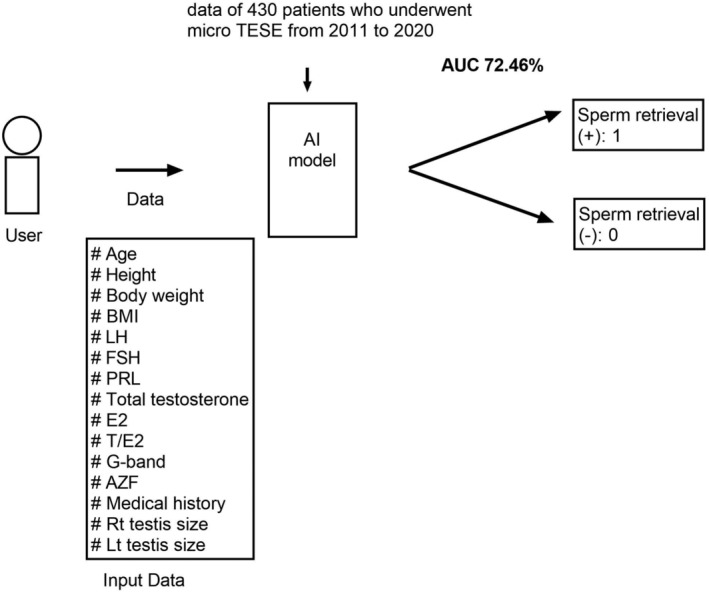 Potential for artificial intelligence in medicine and its application to male infertility.