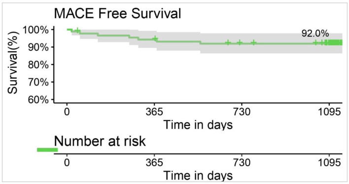 Long-Term Safety and Performance of BioMime™ Morph Sirolimus-Eluting Coronary Stent System for Very Long Coronary Lesions.