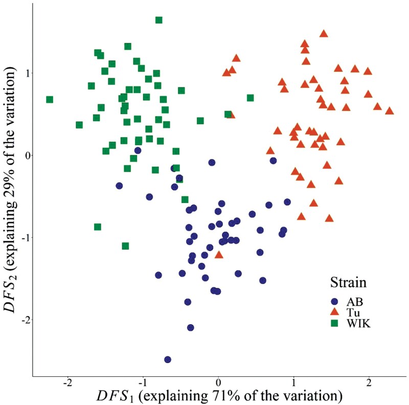 Variability of morphology-performance relationships under acute exposure to different temperatures in 3 strains of zebrafish.