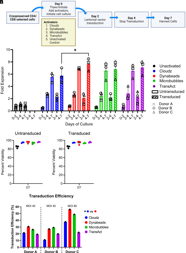 T Cell Activators Exhibit Distinct Downstream Effects on Chimeric Antigen Receptor T Cell Phenotype and Function.