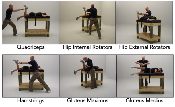 Strength of the Uninvolved Limb Following Return to Activity After ACL Injury: Implications for Symmetry as a Marker of Sufficient Strength.