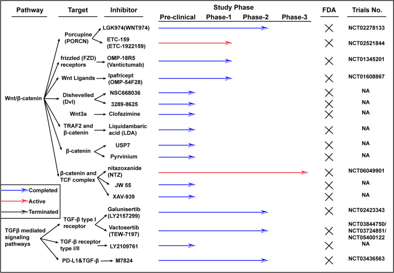 Signaling pathways in colorectal cancer implications for the target therapies.