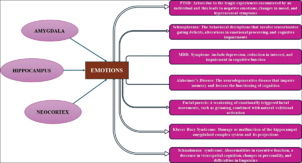 Effect of emotions on learning, memory, and disorders associated with the changes in expression levels: A narrative review.