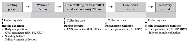Effects of brisk walking with or without music on body composition, standing balance, cardiovascular parameters, and salivary biomarkers in older women.