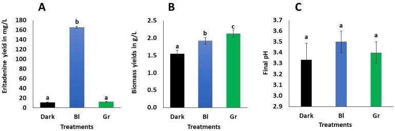 Enhancing Eritadenine Production in Submerged Cultures of Shiitake (<i>Lentinula edodes</i> Berk. Pegler) Using Blue LED Light and Activated Charcoal. Revealing Eritadenine's Novel In Vitro Bioherbicidal Activity Against <i>Chrysanthemum morifolium</i>.